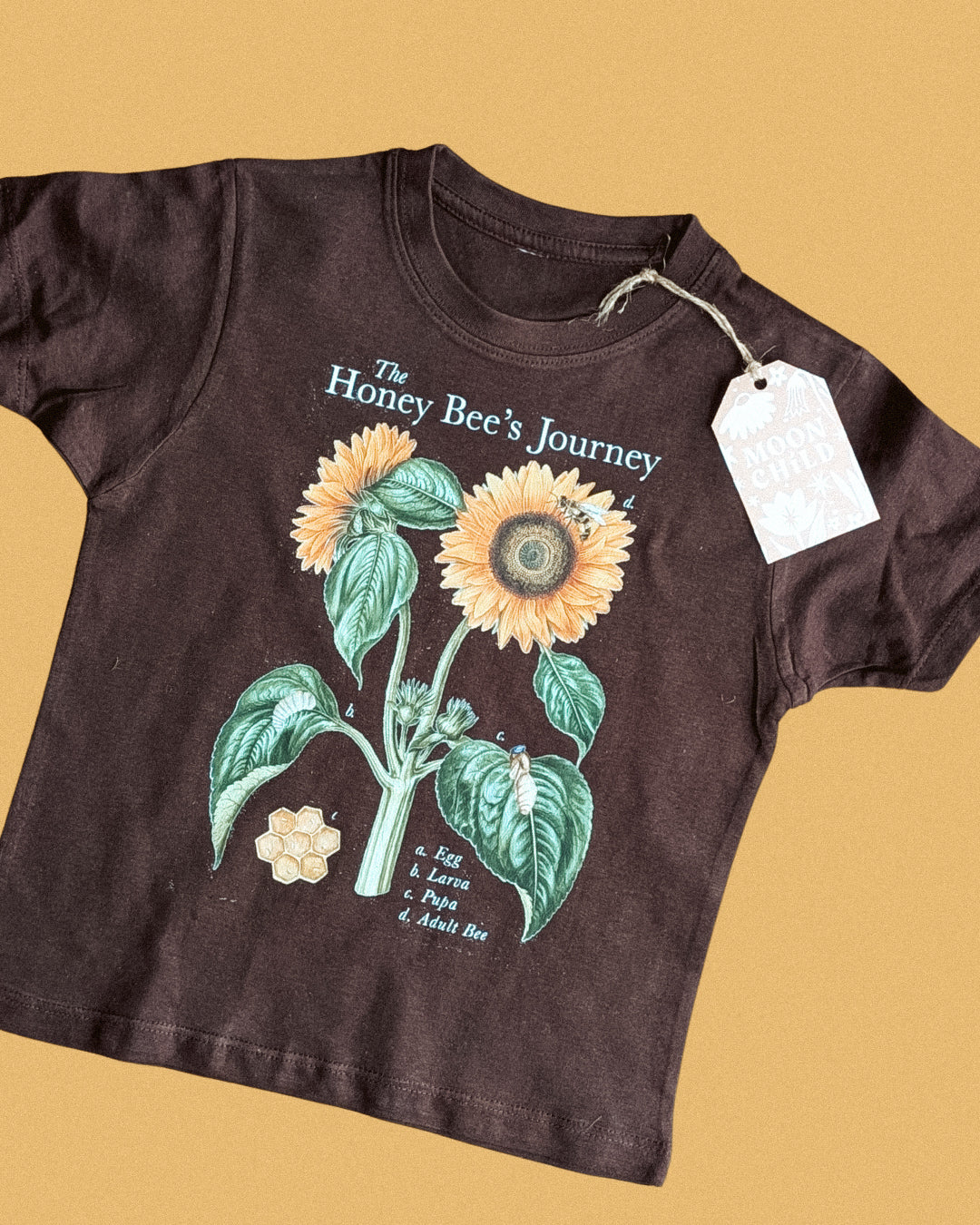 LIMITED EDITION Bee Life Cycle Tee - different colours available