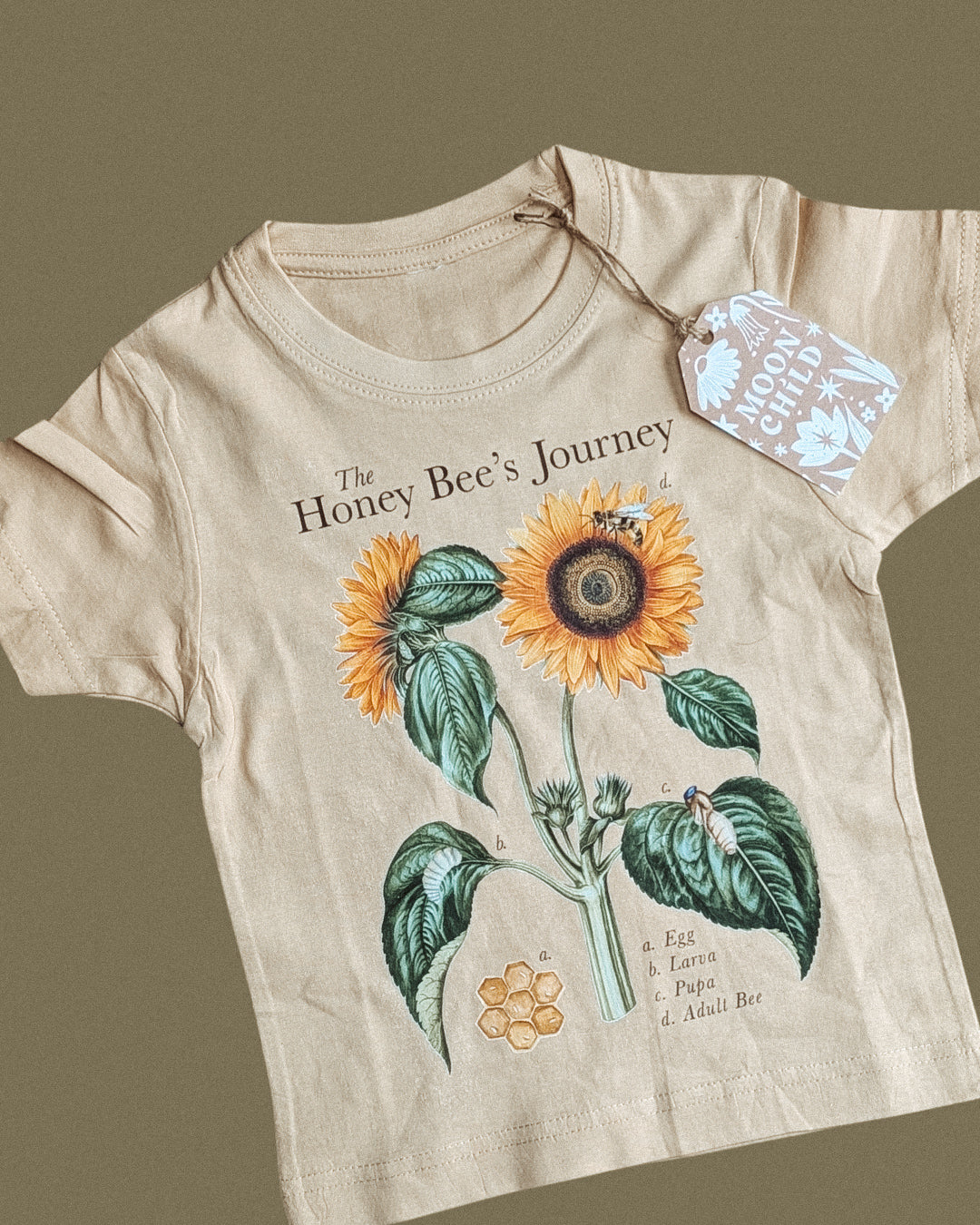 LIMITED EDITION Bee Life Cycle Tee - different colours available