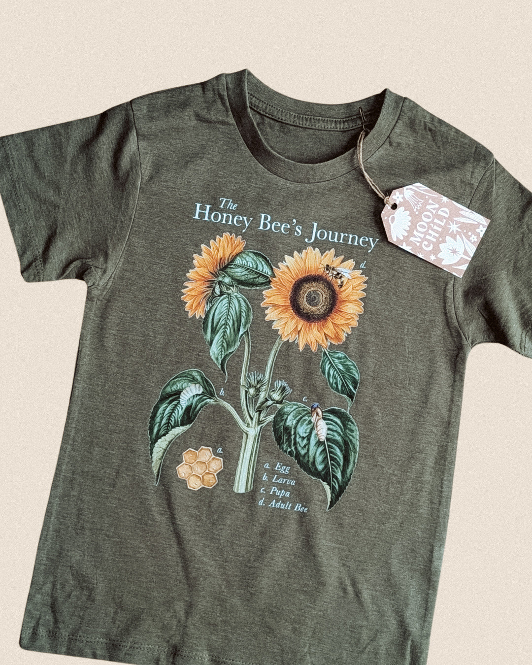 LIMITED EDITION Bee Life Cycle Tee - different colours available