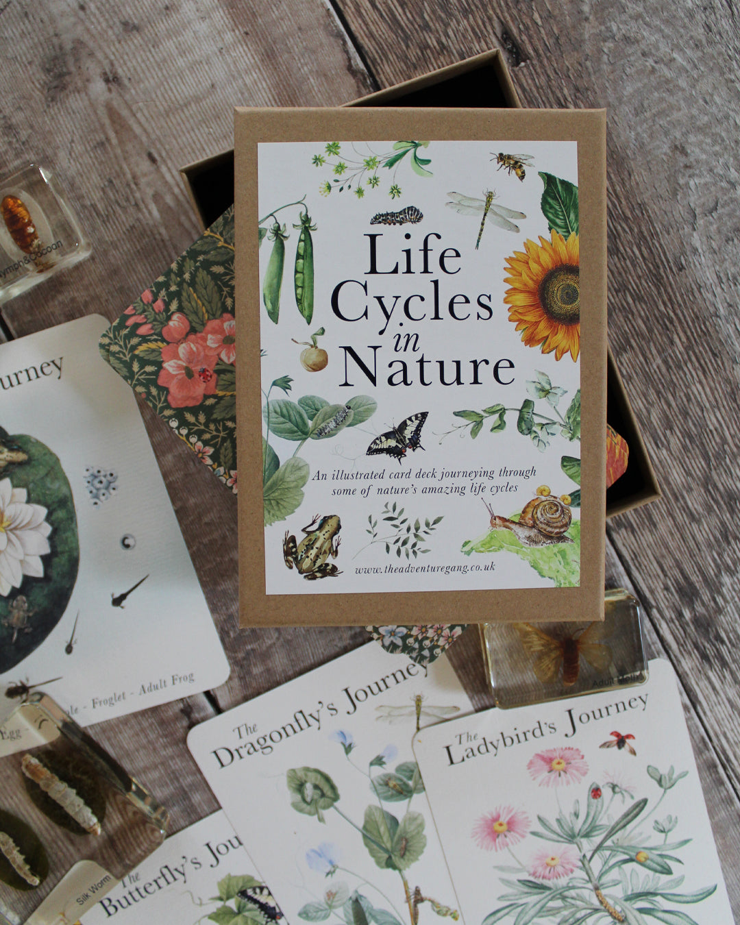 Life Cycles of Nature A6 Card Pack