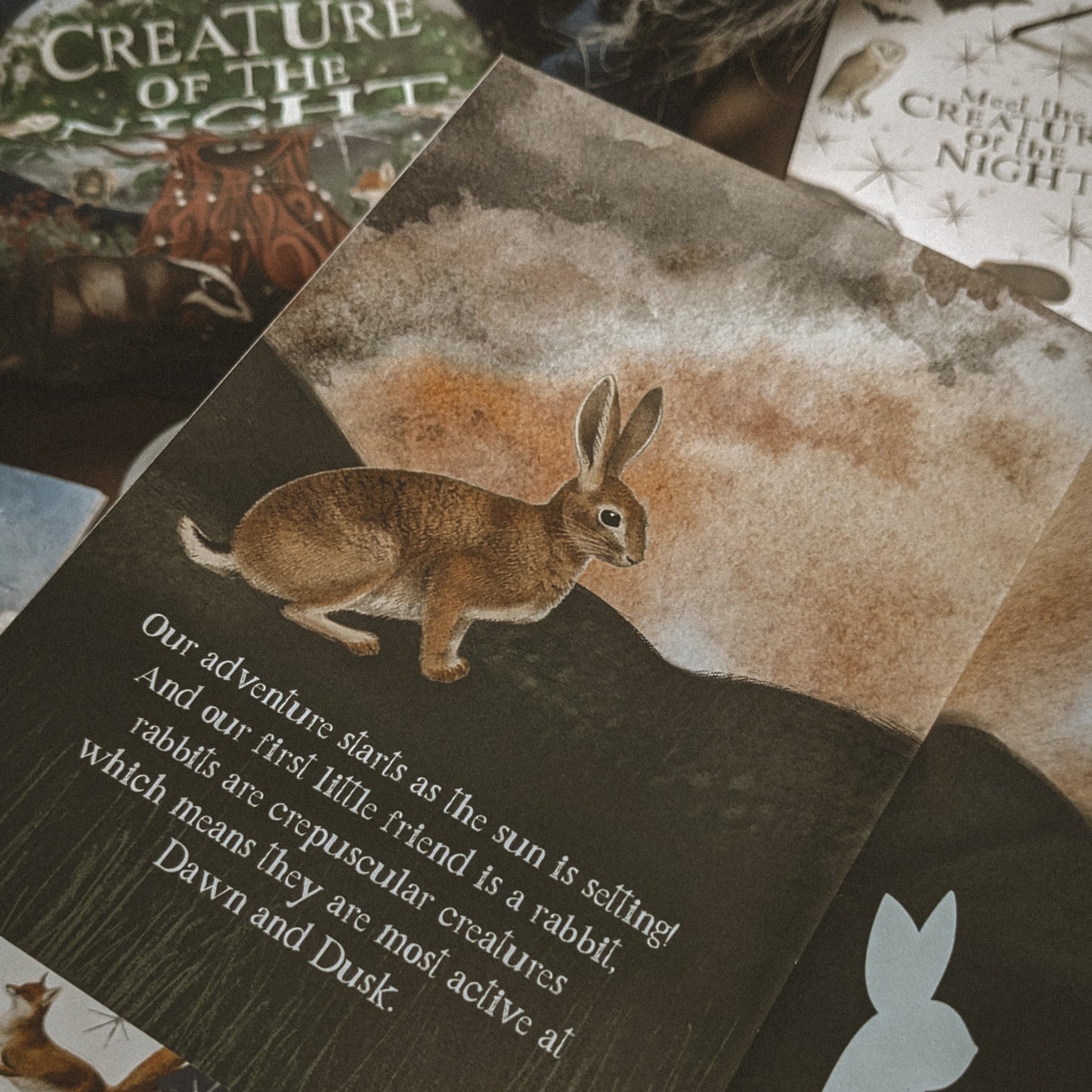 SALE Creatures of the Night Activity Book
