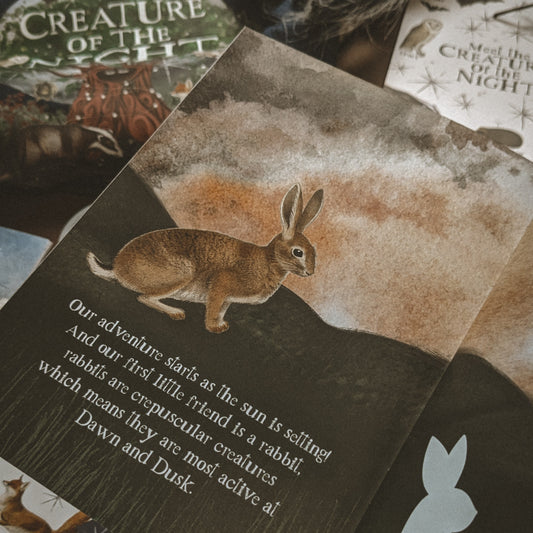 SALE Creatures of the Night Activity Book