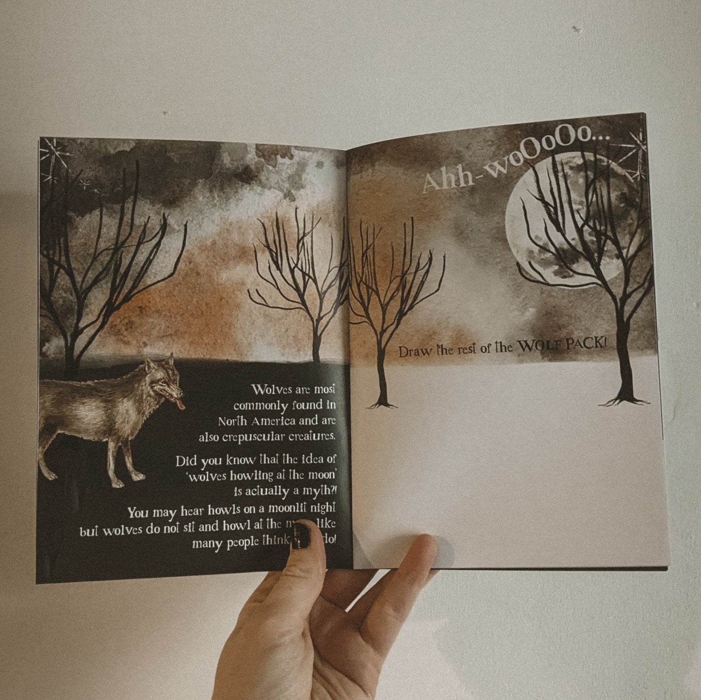 SALE Creatures of the Night Activity Book