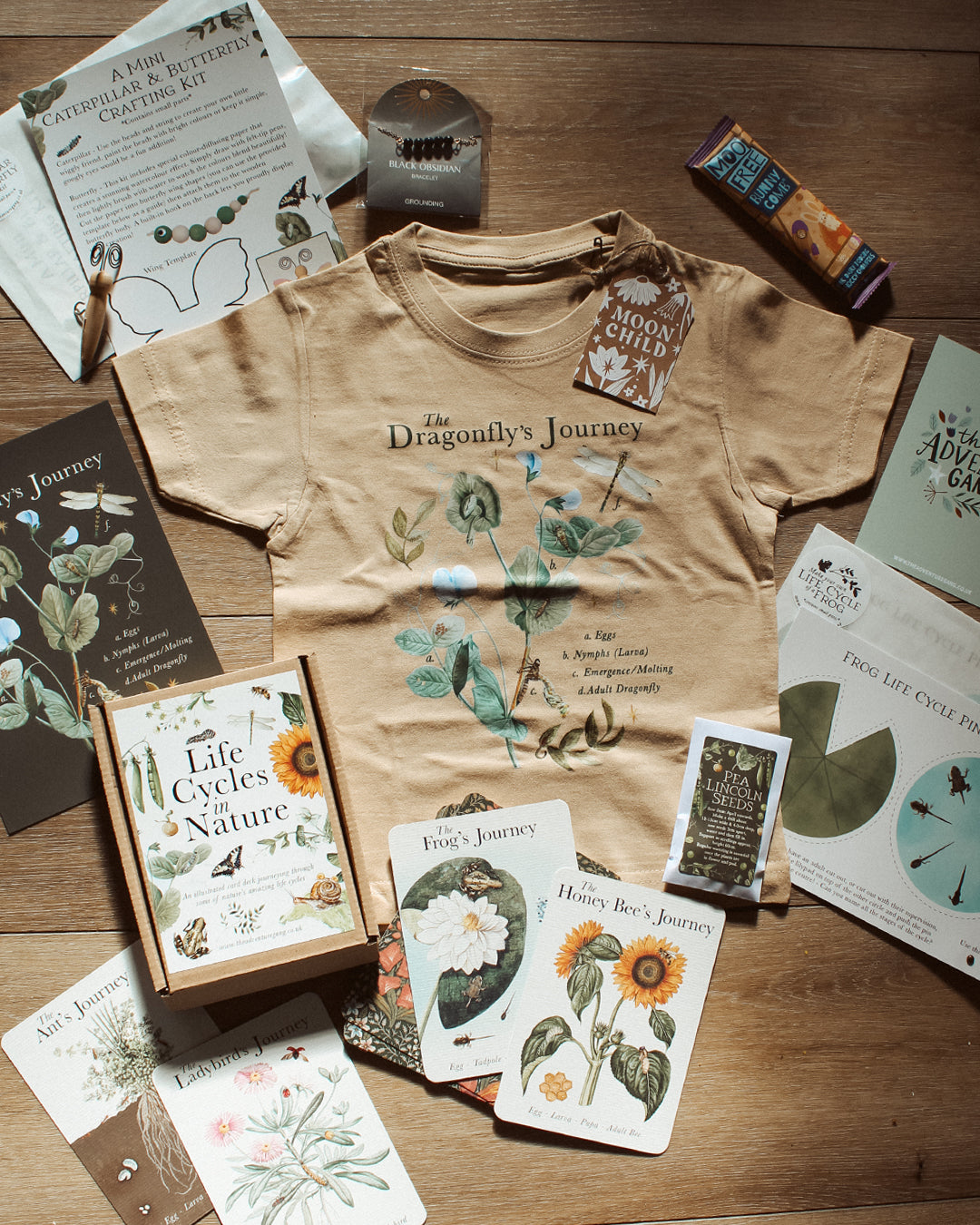 Our Spring 'Life Cycles' Box