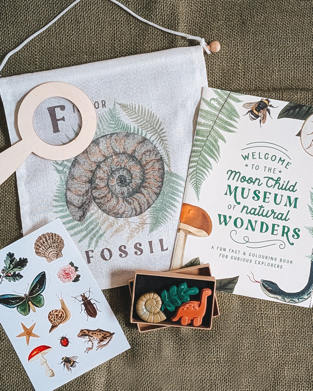 NATURAL WONDERS bundle