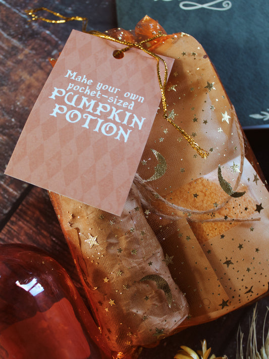 MYO Pocket-sized Pumpkin Potion