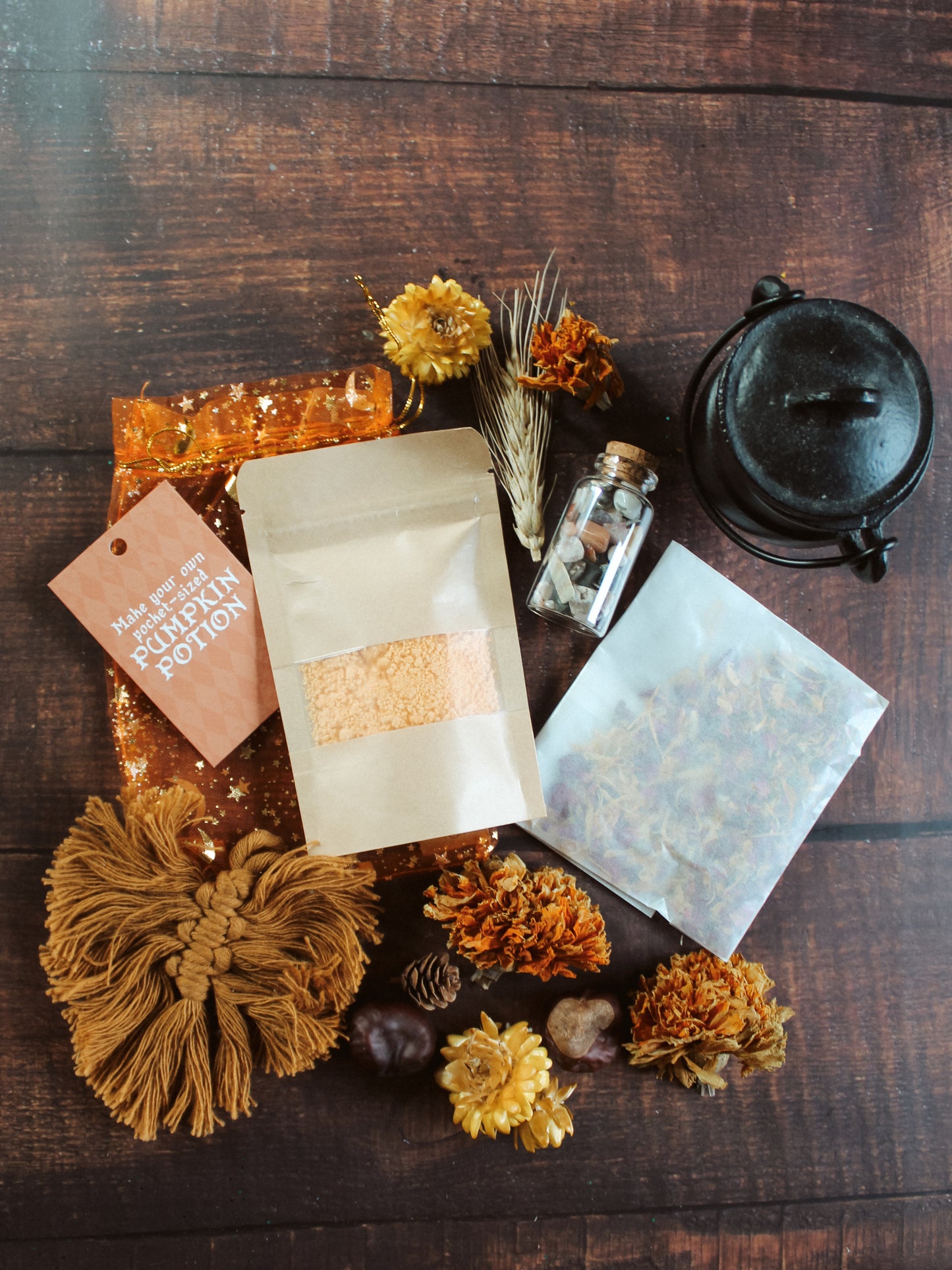 Autumn Activity Box One-Off - (NO T-shirt)