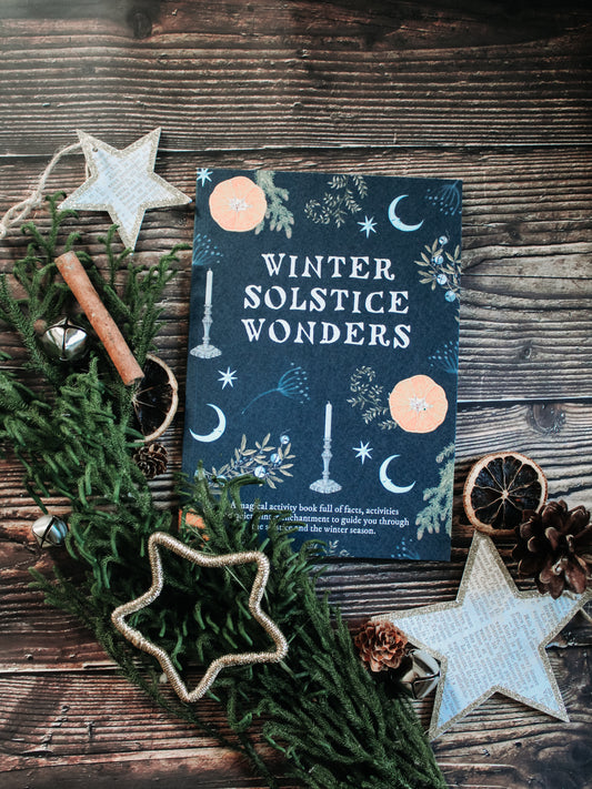 PRINTABLE Winter Solstice Wonders Activity Book