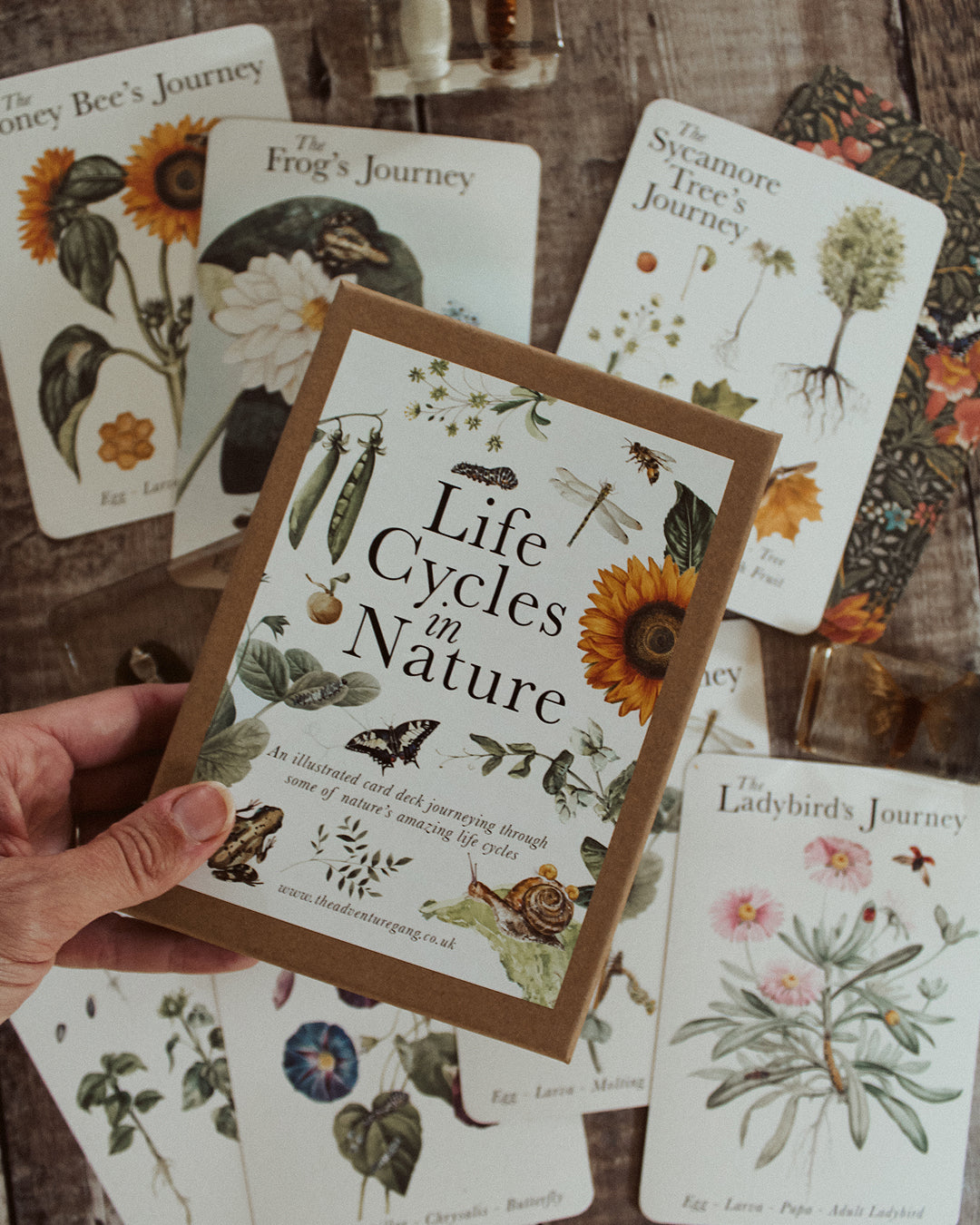 Life Cycles of Nature A6 Card Pack