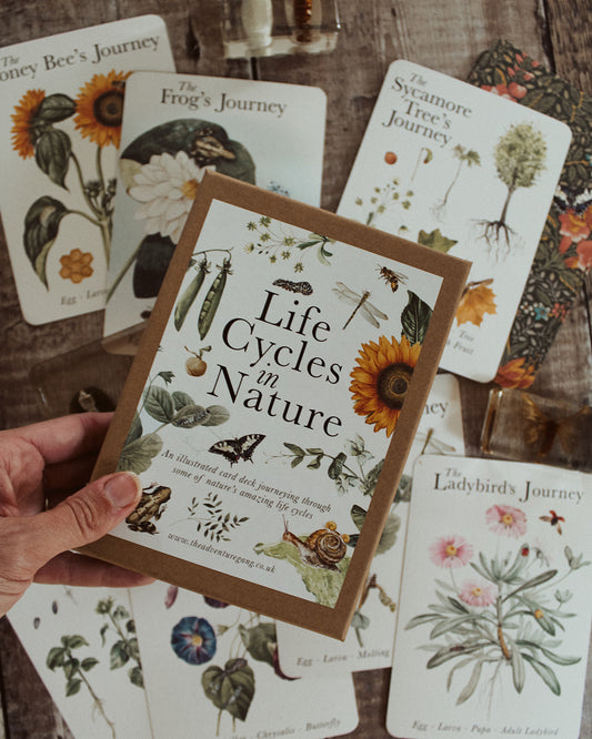 Life Cycles of Nature A6 Card Pack