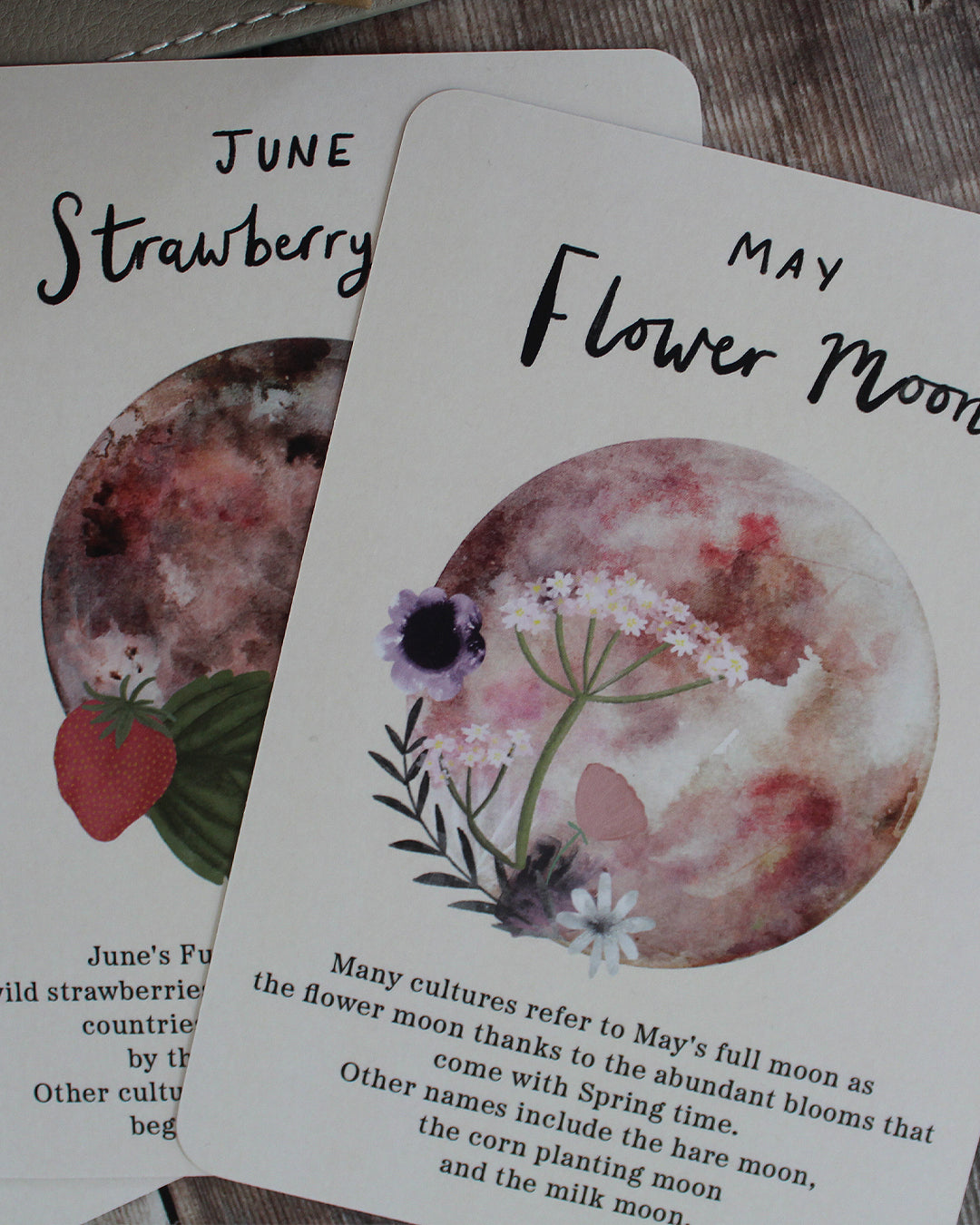 Full Moon A6 Card Pack