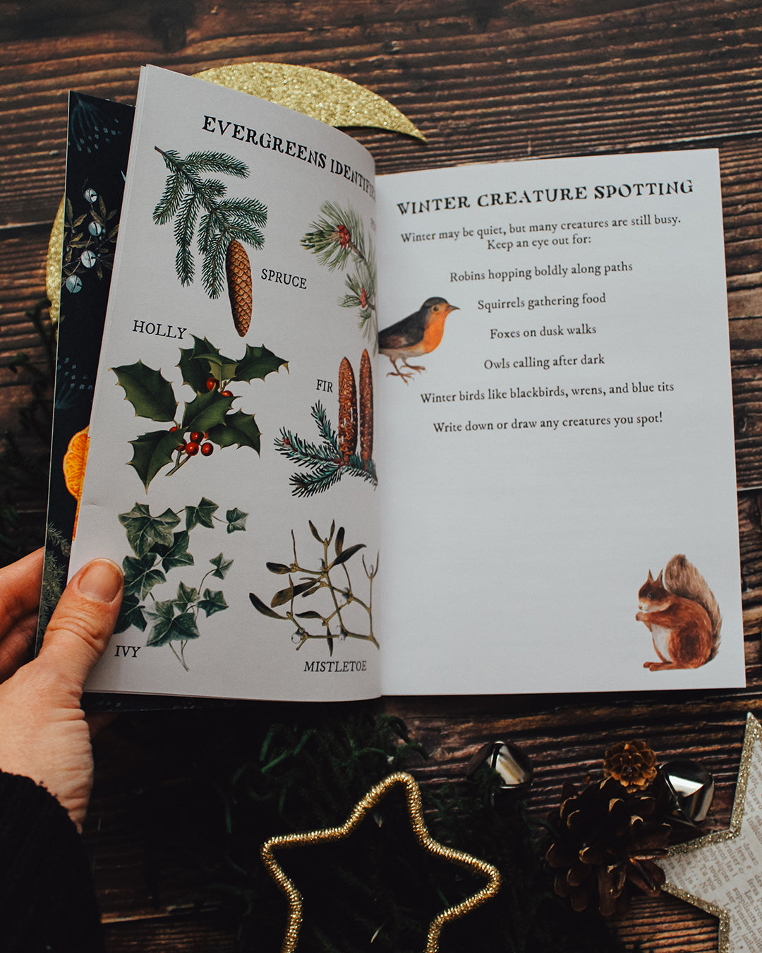 PRINTABLE Winter Solstice Wonders Activity Book