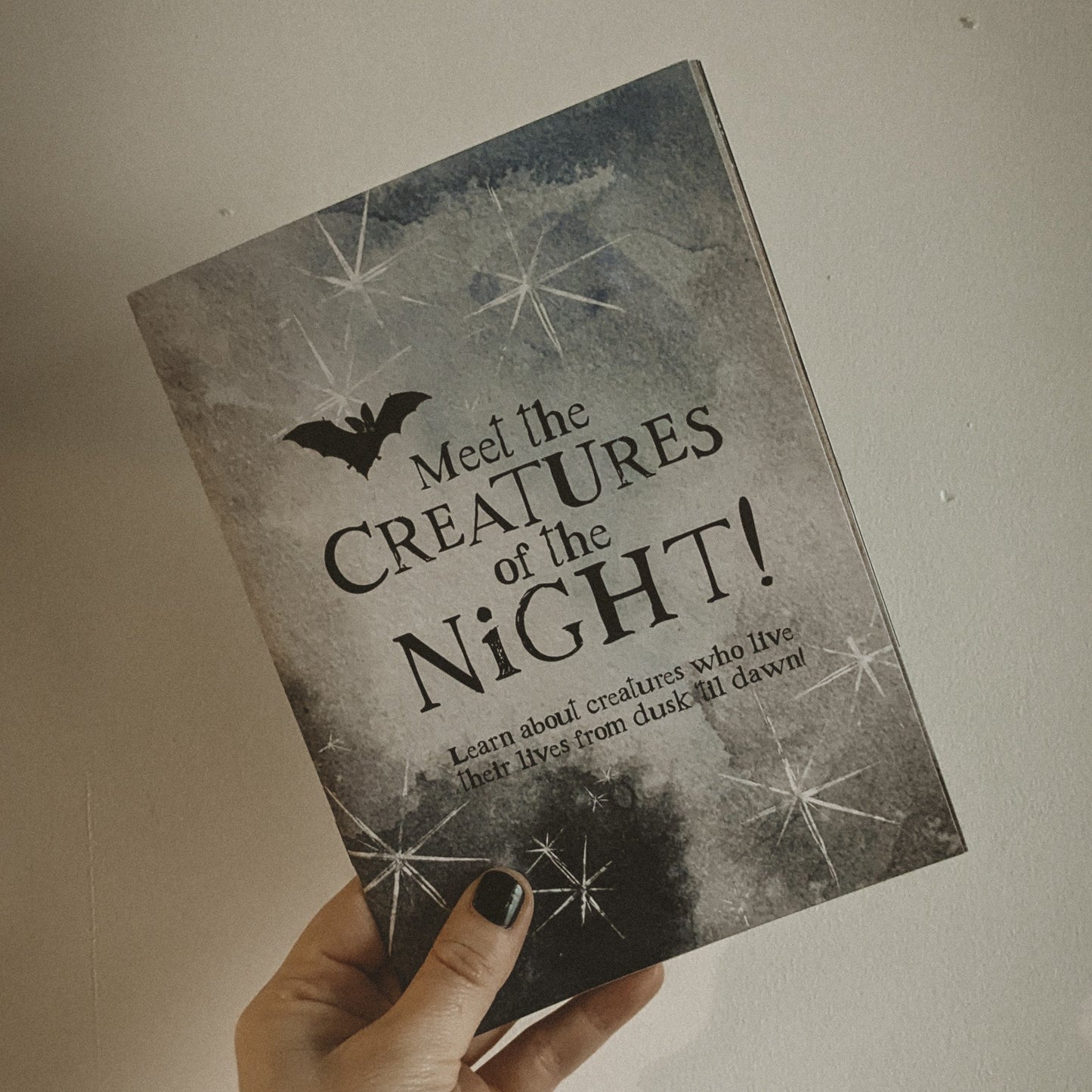 Creatures of the Night Activity Book
