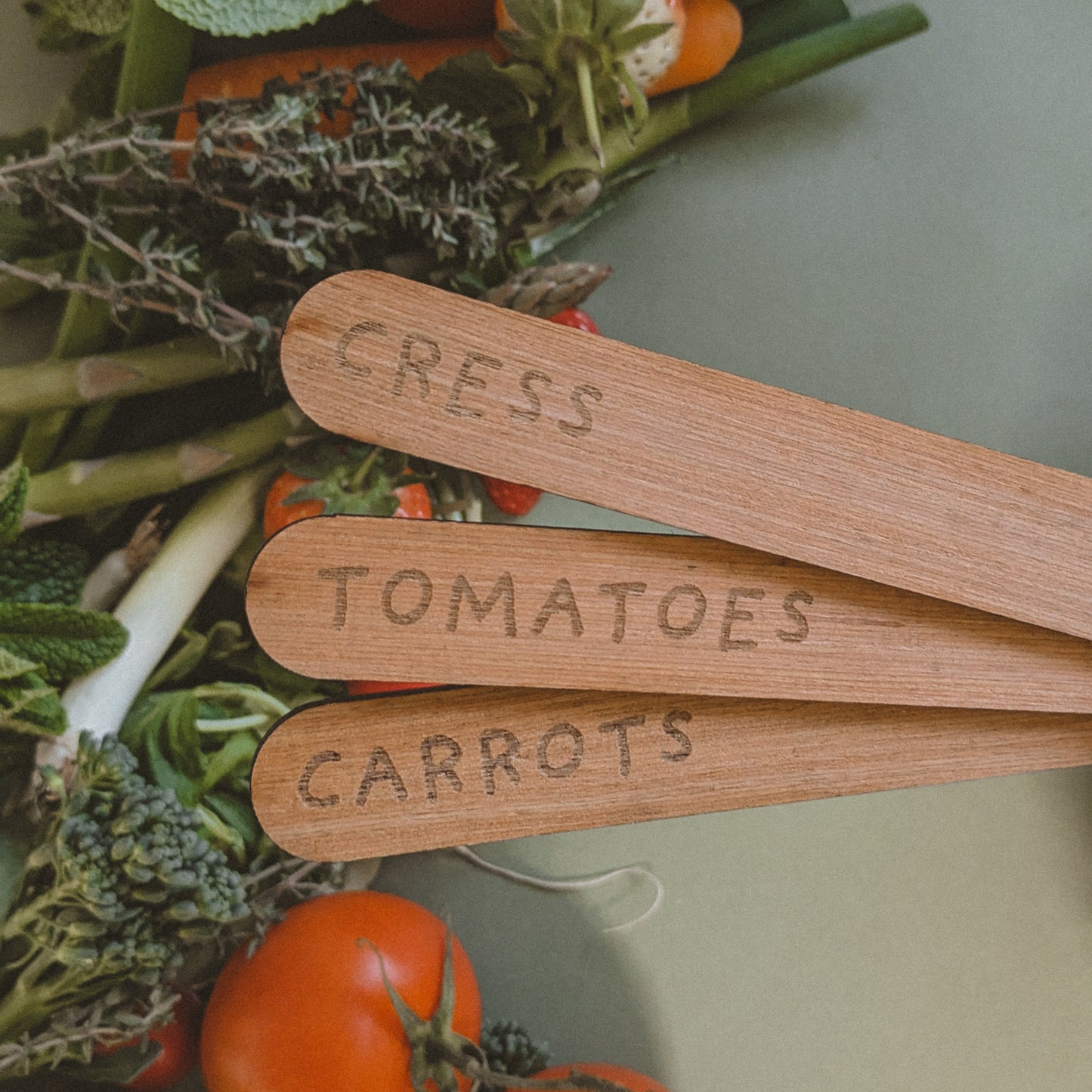 Plant Identifier Wooden Signs