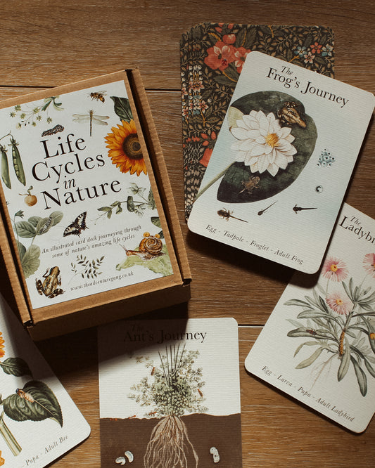 Life Cycles of Nature A6 Card Pack