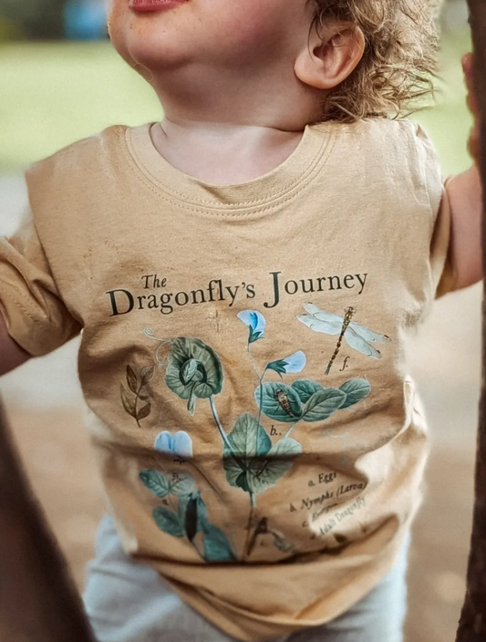 DRAGONFLY LIFE CYCLE TEE