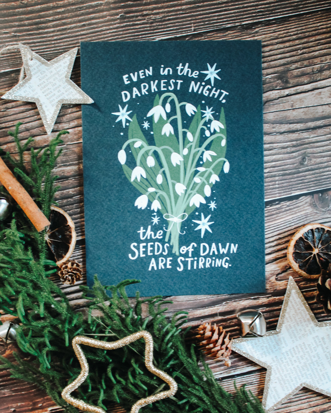 Winter Solstice Wonders Box - (No t-shirt)