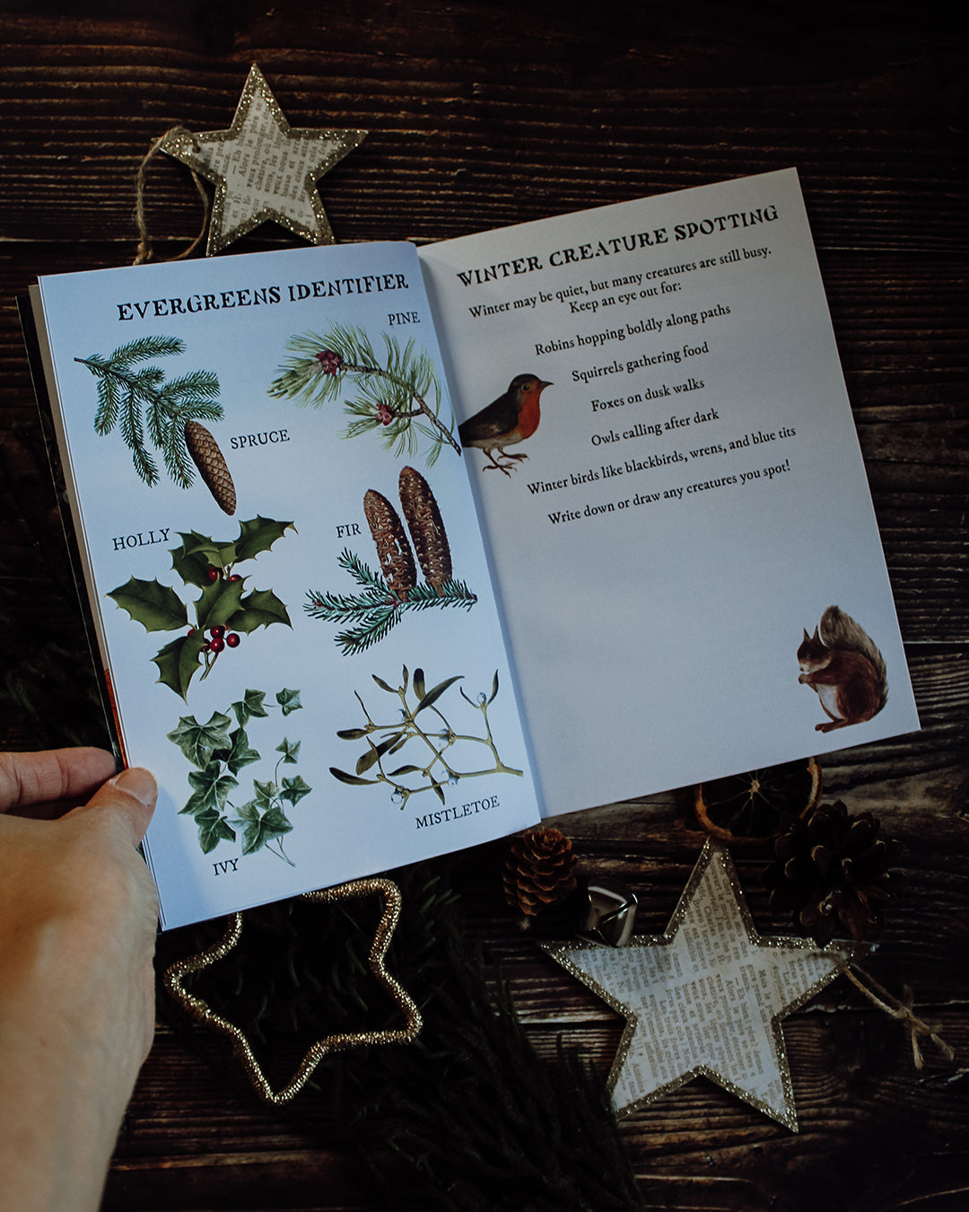 Winter Solstice Wonders Box - (No t-shirt)