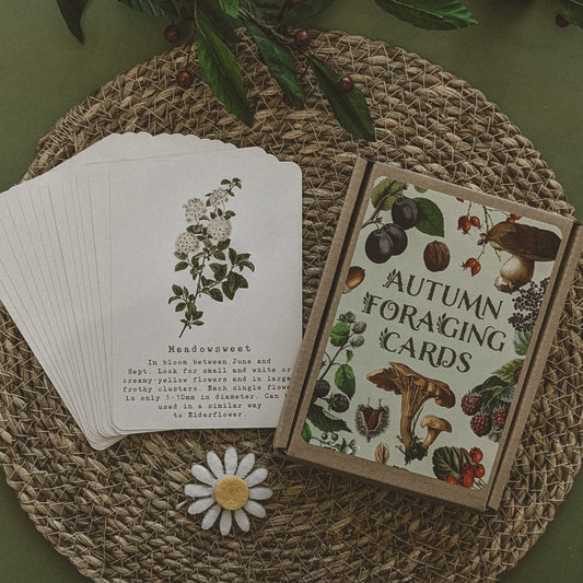 Autumn Foraging A6 Card Pack