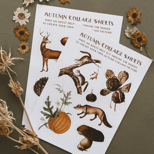 Autumnal Collage Sheet Pack