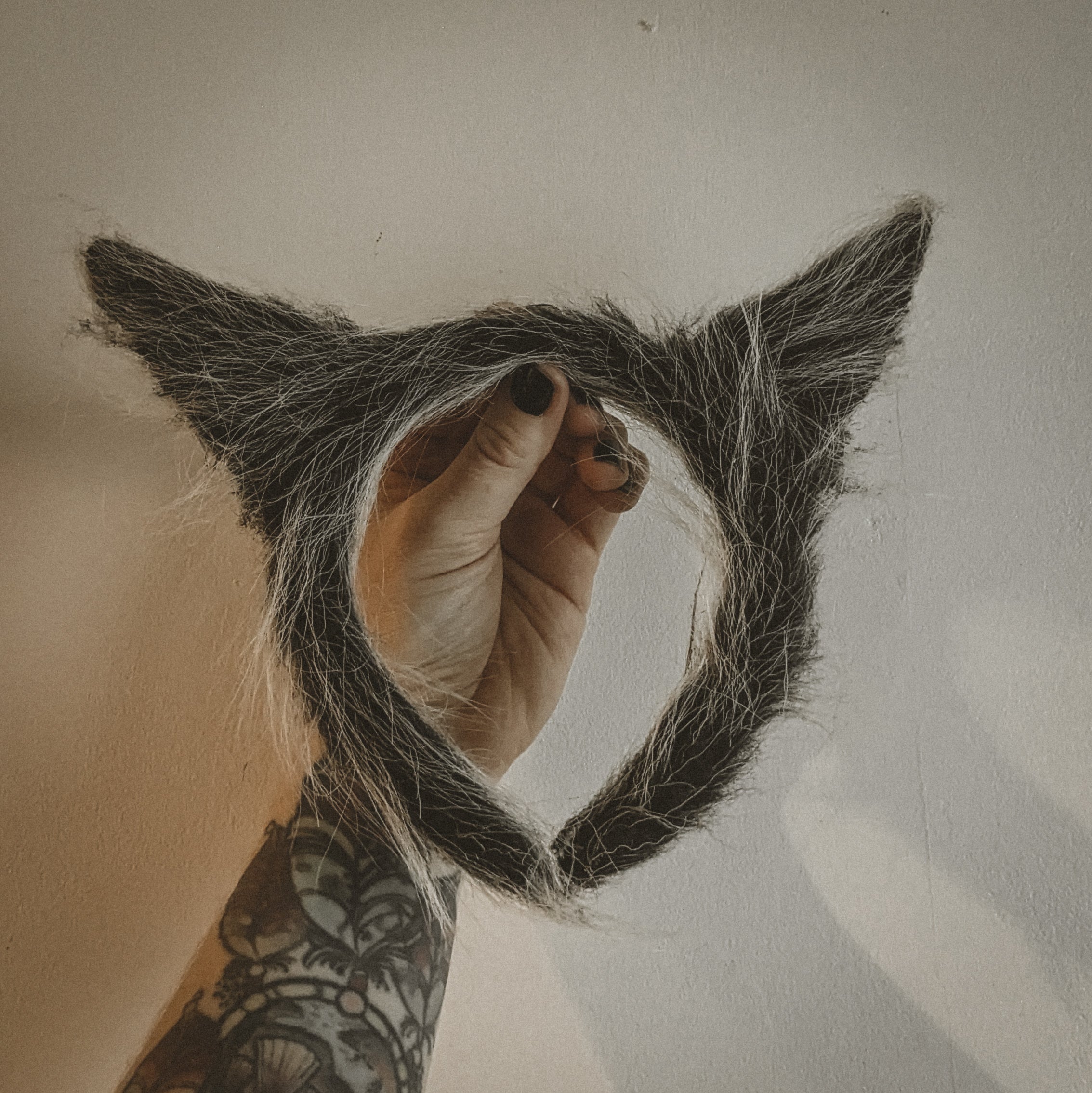 Grey Wolf Ears Headband – MOON CHILD